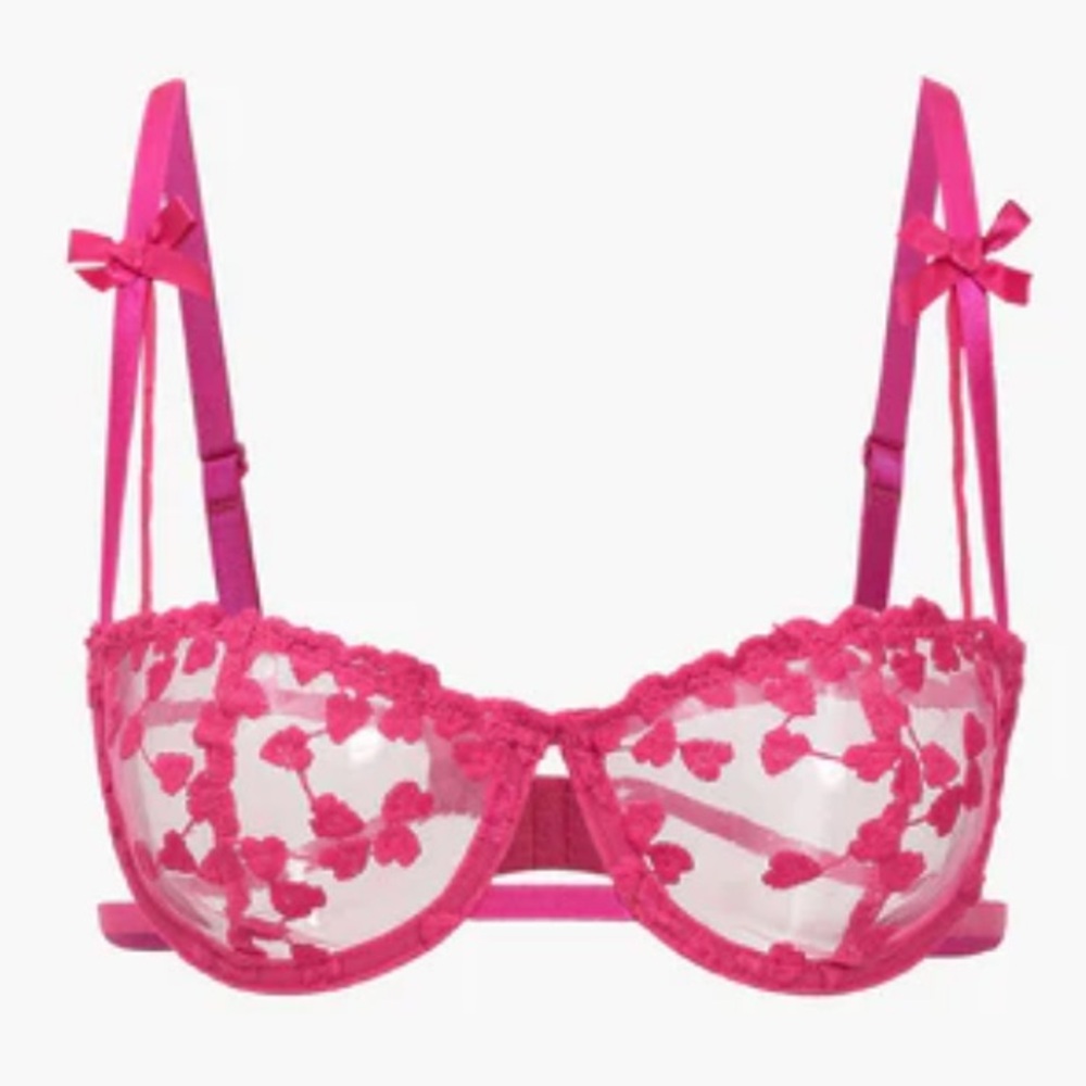 Sheer Heart Embroidered Lace Bralette Fairy Princess Mesh Lace Barbie Pink XL